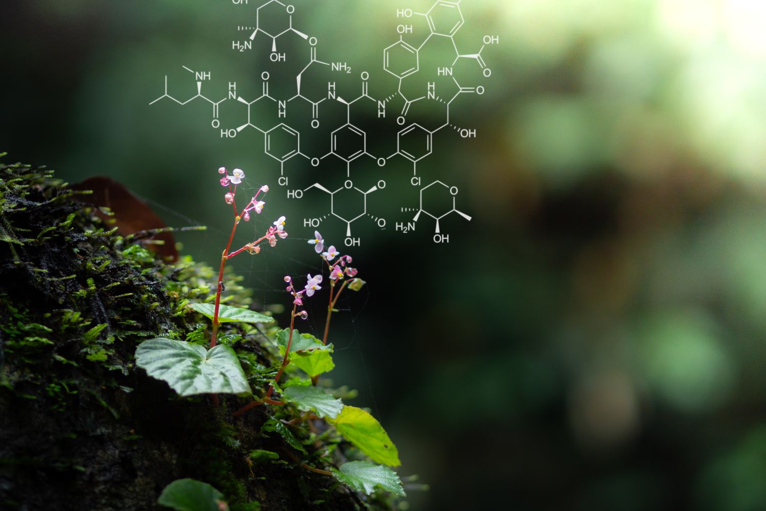 Biosciences: Evolutionary Biology