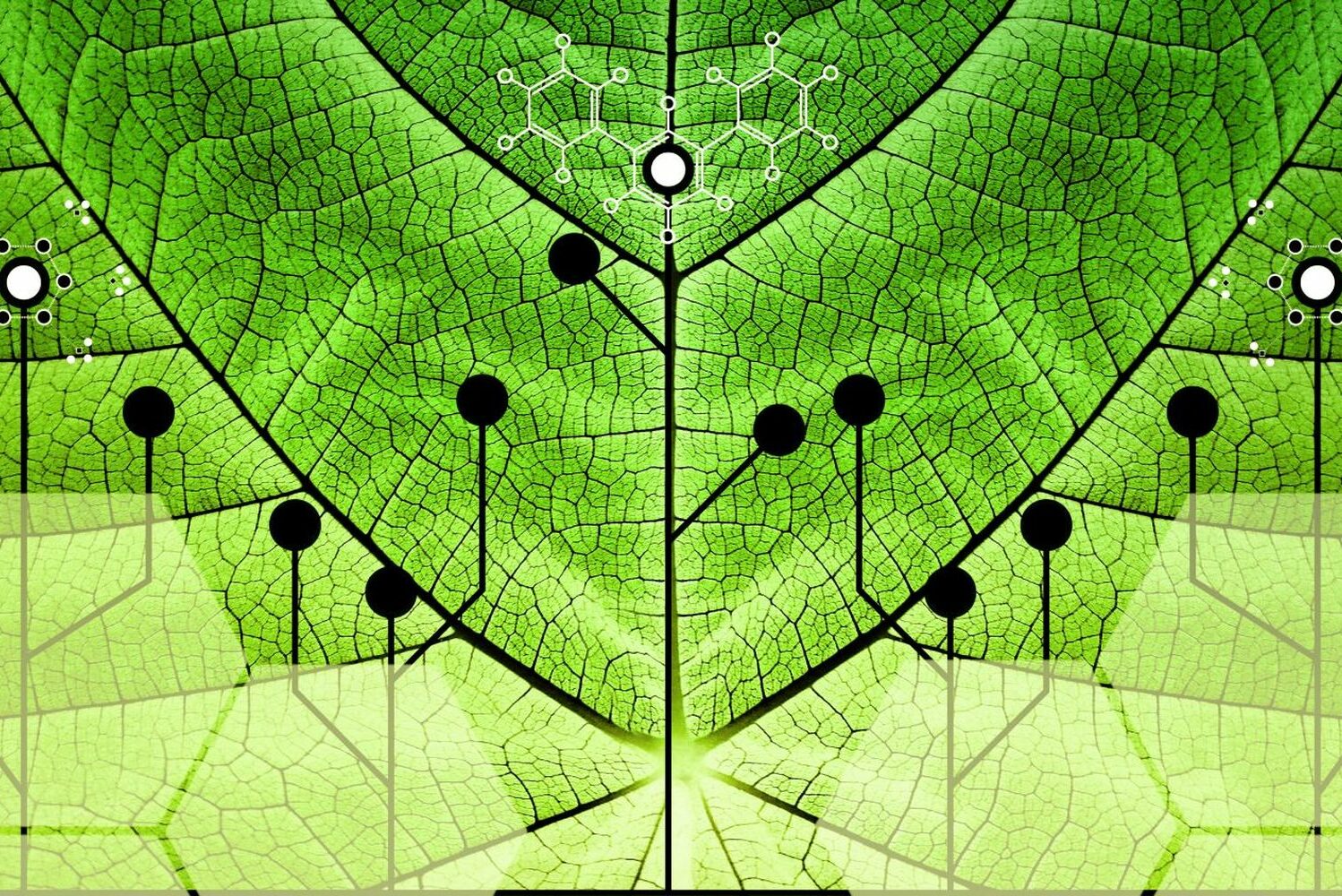 Biosciences: Molecular Systems Biology