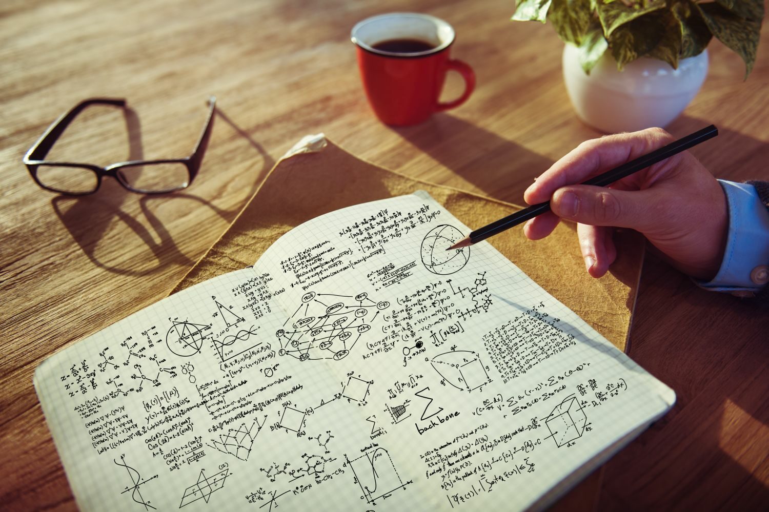 Exact Sciences: Mathematics and Statistics