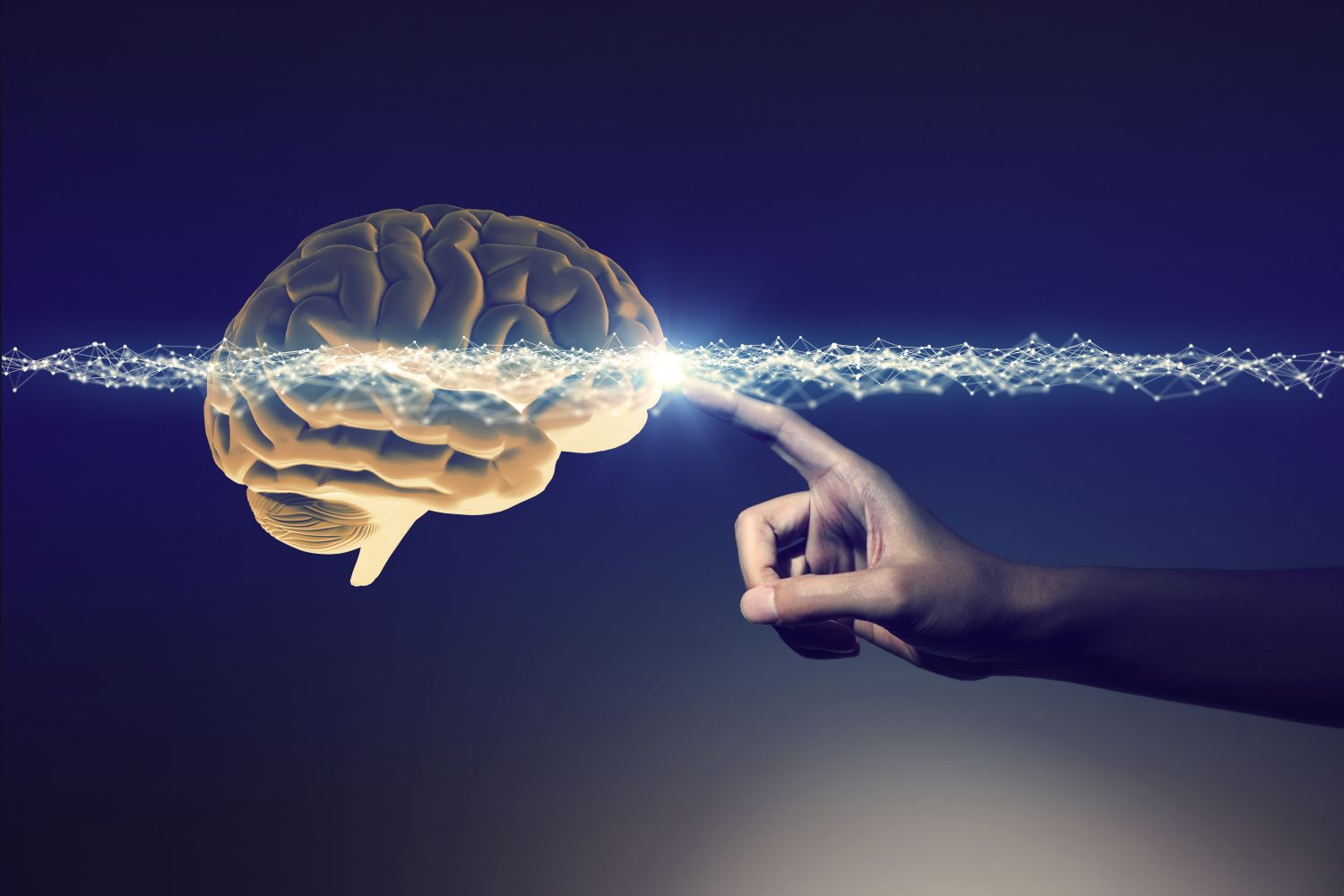 Human Neuroscience